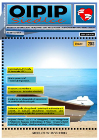 Biuletyn Lipiec 2013-3 2